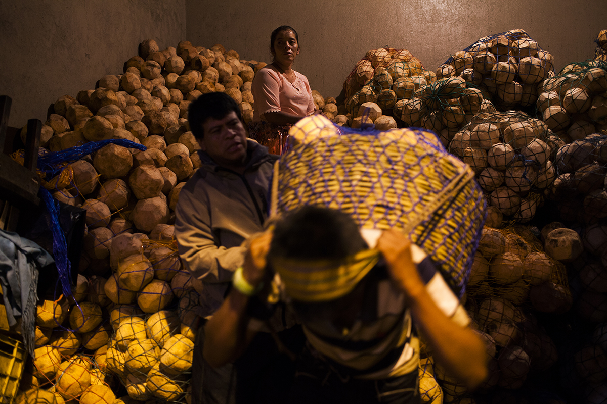 El coco ya está preparado en redes para ser llevado a los diferentes mercados  de barrio de toda la ciudad