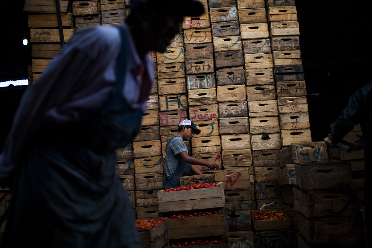 Repartición del tomate en las cajas de madera – Q70 a Q170 dependiendo de  la temporada – en el sector de la “tomatera”