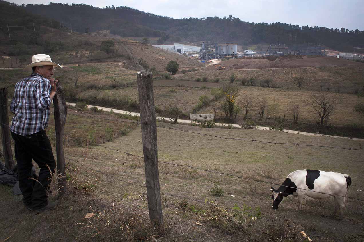 Un vecino observa su ganado pastorear frente a las instalaciones de la mina. A los comunitarios les preocupa la contaminación de los terrenos y el agotamiento de los recursos hídricos. 