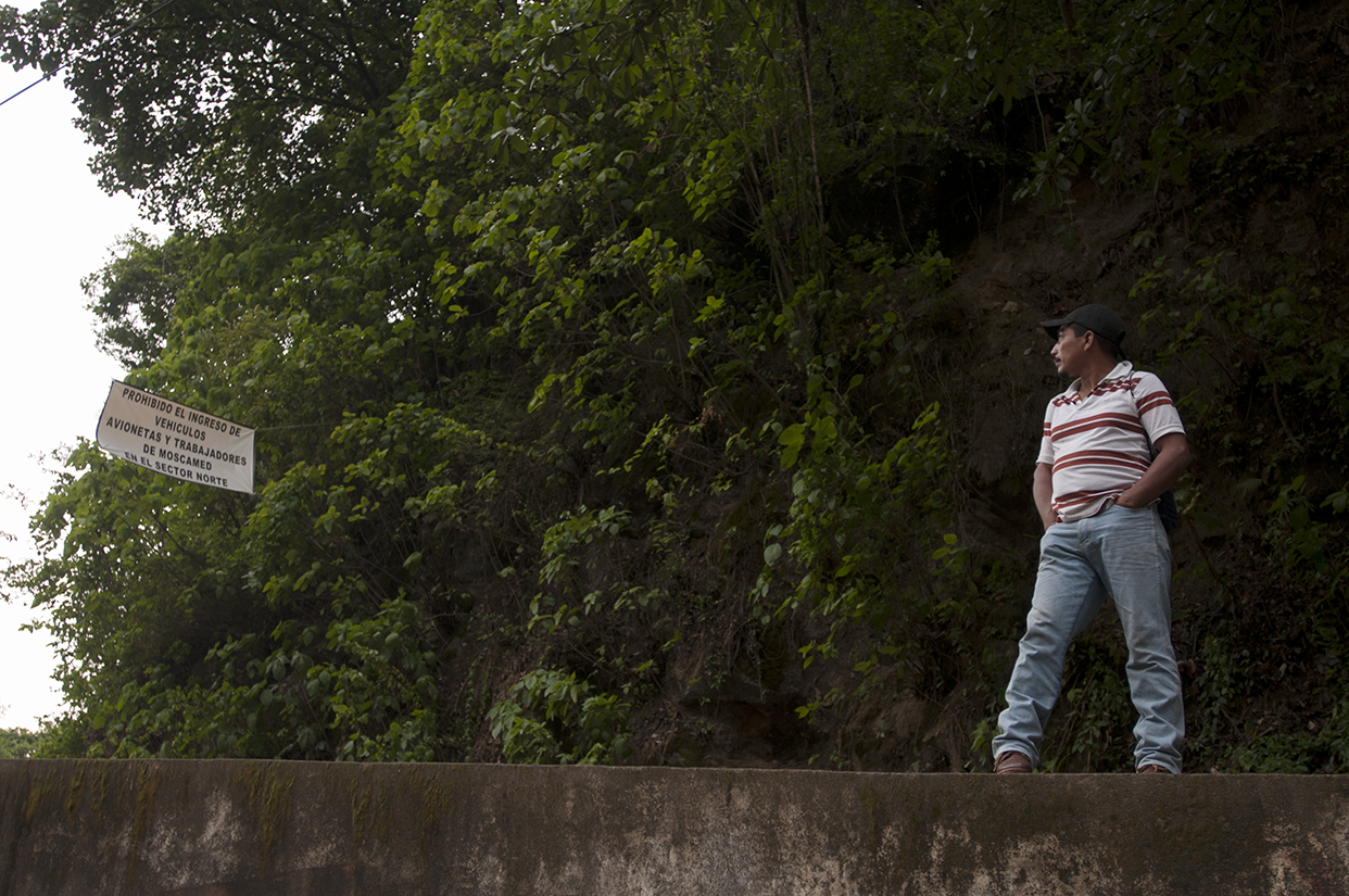 Una manta advierte la prohibición del ingreso de vehículos, avionetas y personal de Moscamed en la entrada de La Democracia, Huehuetenango. 