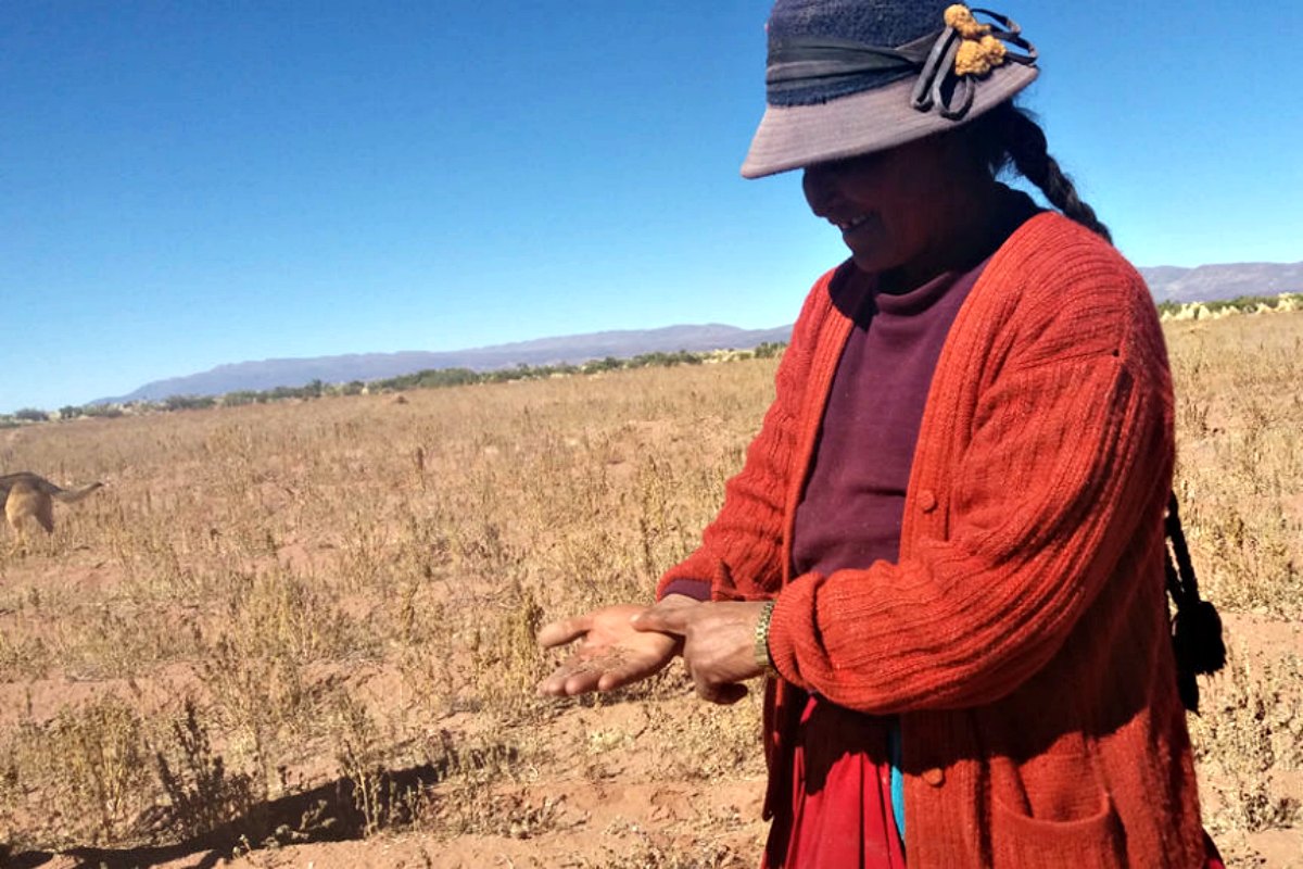 Foto: Ministerio de Desarrollo Rural de Bolivia.