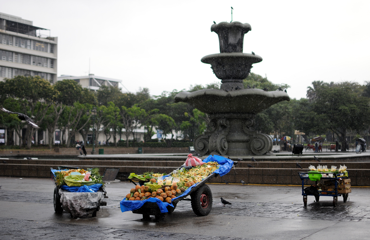 Fruta fresca