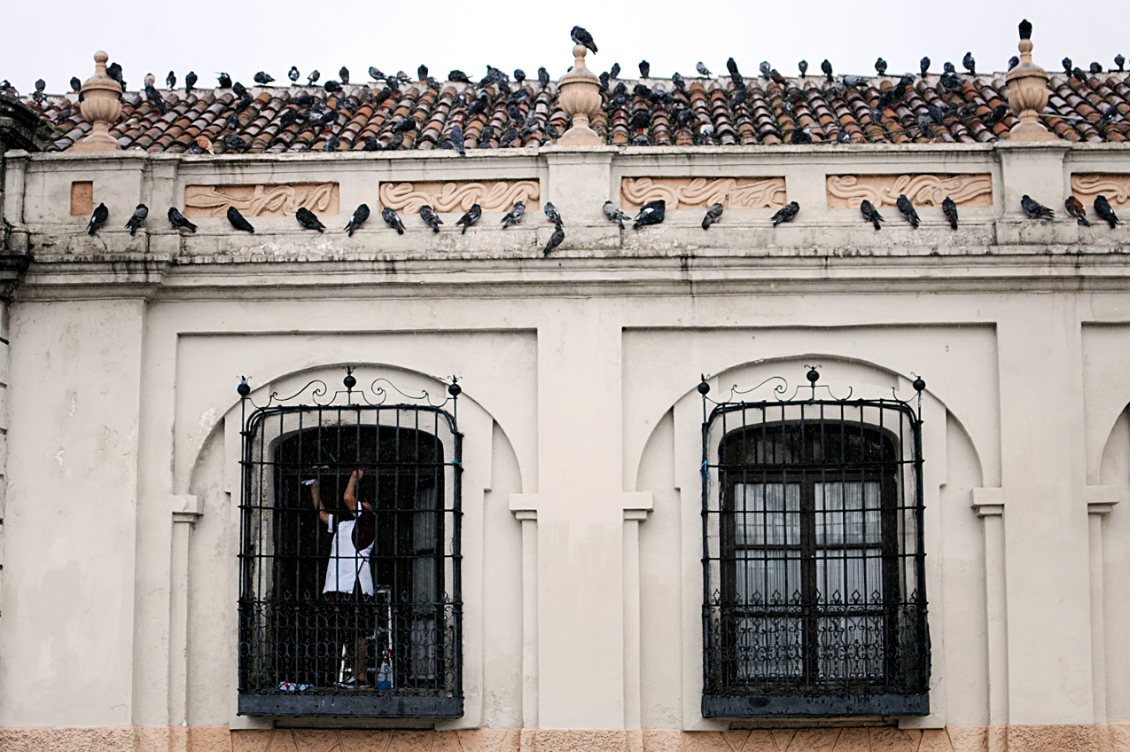 Otros habitantes