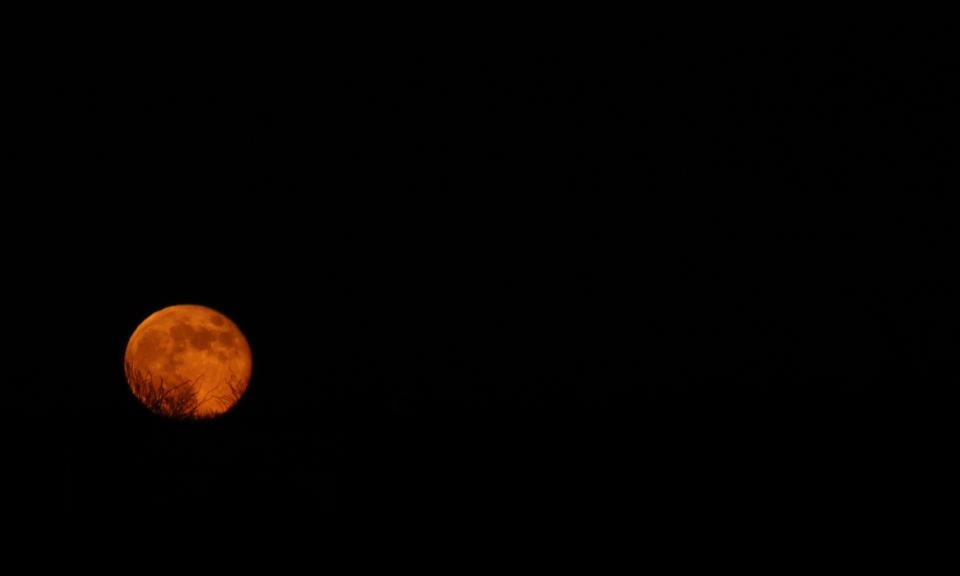 Vacaciones en la luna