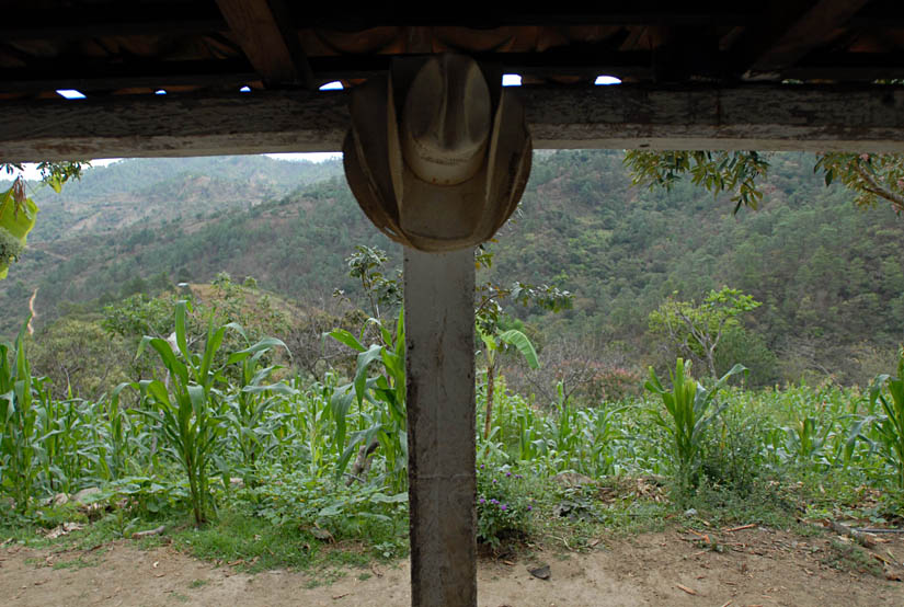 Agricultores sostenibles