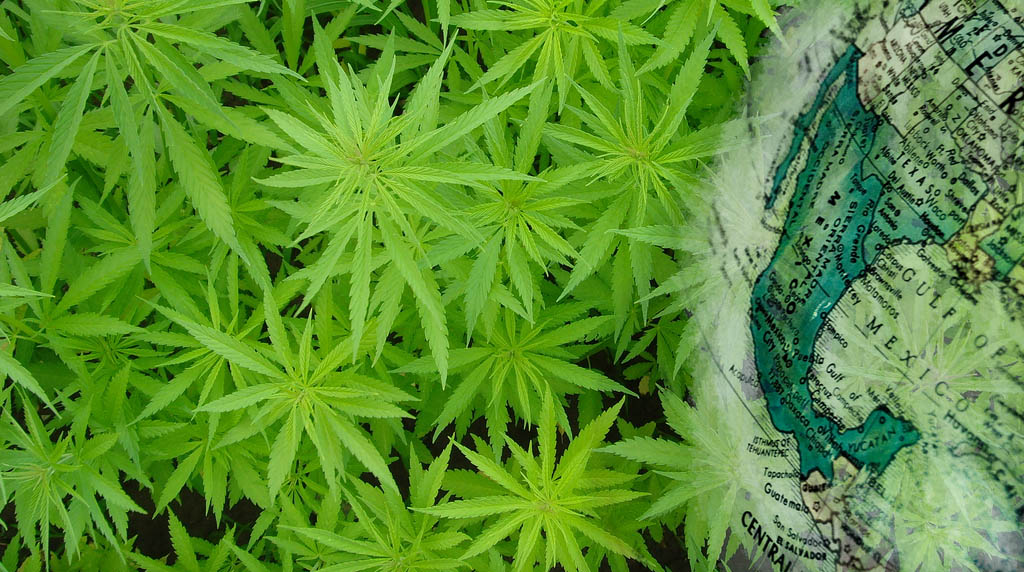 UNODC: EE.UU., el mayor consumidor de cocaína