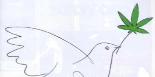 palomapazmariguana