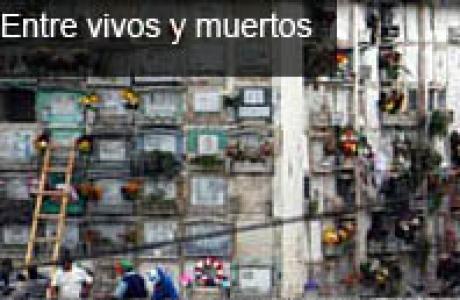 vivosymortos