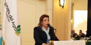 La Registradora de la Propiedad y la certeza de que nadie pueda reclamar Tikal