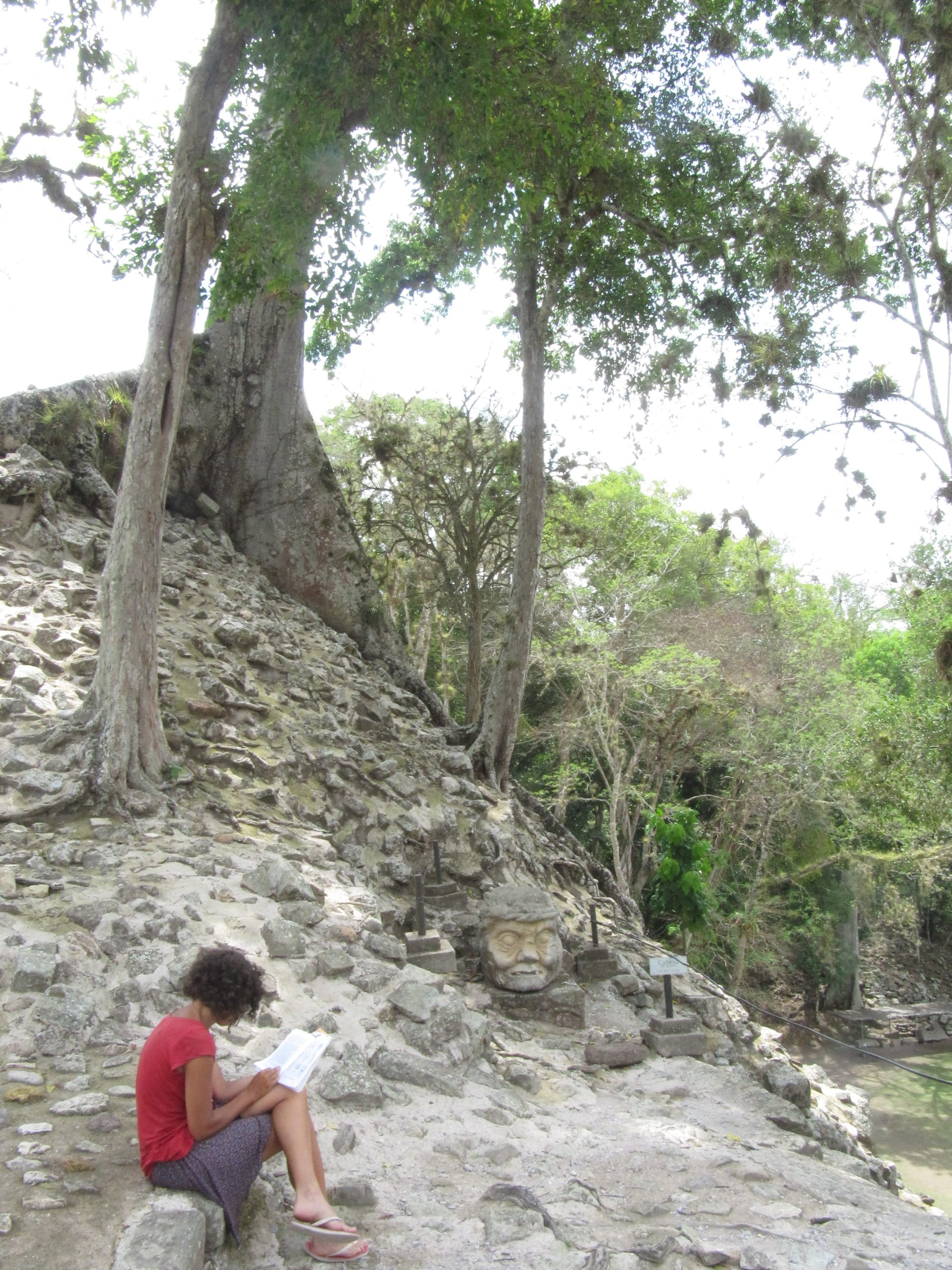 Copán: siglos de piedra y árboles