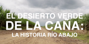 El desierto verde de la caña