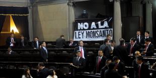 ley_monsanto