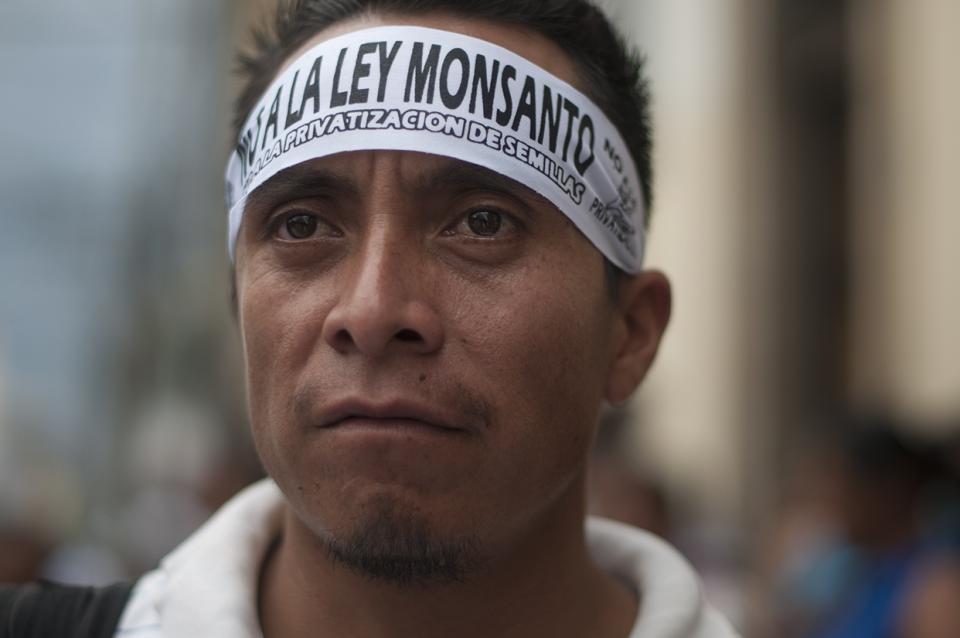 manifestante