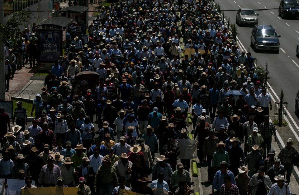 Personas que cultivan café