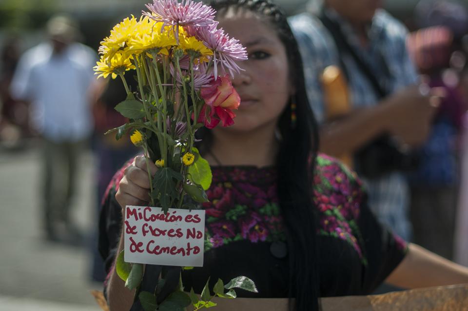 Flores de San Juan
