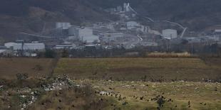 Demostrar el delito de contaminación ambiental es sólo una ilusión