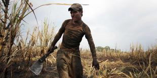 salario_agricola_2