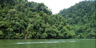 Izabal. Una cabaña en el río