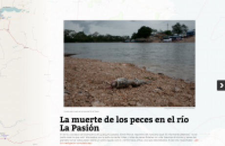 La muerte de los peces en el río La Pasión