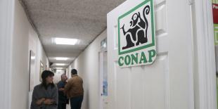 El Conap y la rebelión de los 029