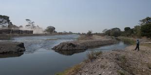 Madre Vieja: sigue habiendo desvíos, pero el agua ya llega al manglar