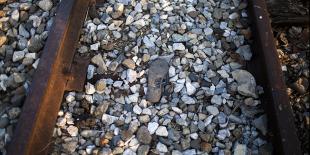 Alianzas para construir infraestructura en tierra de ayotes y tortugas
