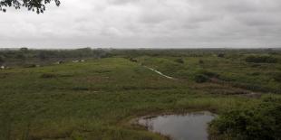 ecocidio_en_sayaxche_07_0_ley