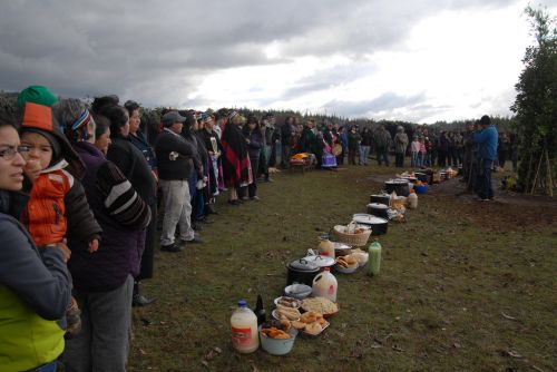 Chile: Atentado reaviva histórico conflicto mapuche