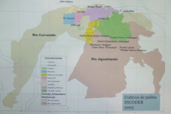 Colombia: Los ganaderos acusados por las víctimas en Curvaradó y Jiguamiandó