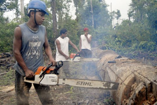 Economía verde busca mantener crecimiento amenazado por desastres