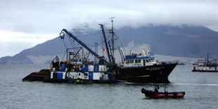 Cómo se esfuman $100 millones en pescado en Perú