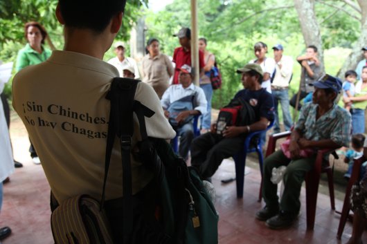 Nicaragua: MINSA calla sobre el mal de Chagas