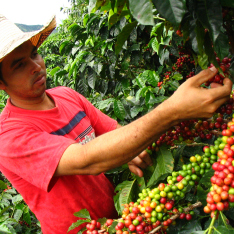 Colombia: las dos caras del TLC con Corea
