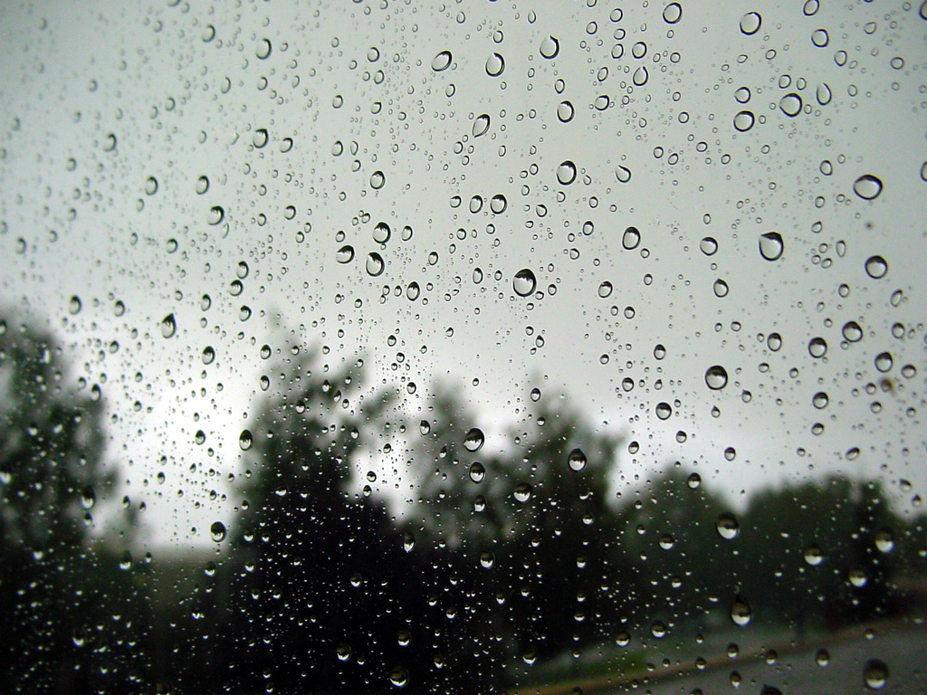 rain-4-1520316