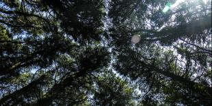 El megaproyecto más grande del país topa con La Antigua