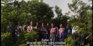 A favor y en contra de Oxec