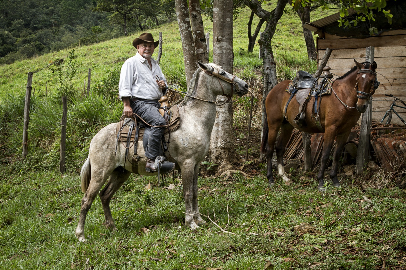 “Yo me quiero morir en el campo”