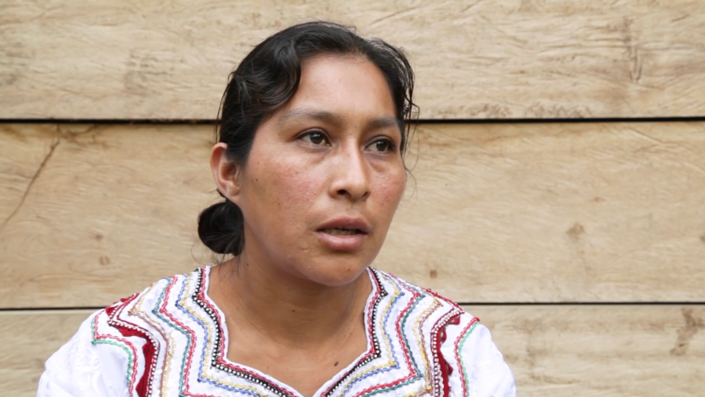 “Sólo defendemos nuestras tierras”