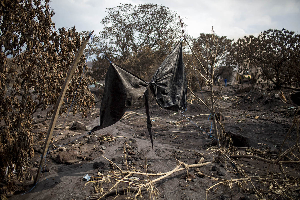 A un año de la tragedia, lo que queda es «La Dignidad»