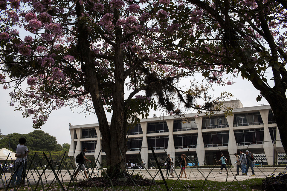 Voltear la Usac: Contra la reforma universitaria neoliberal