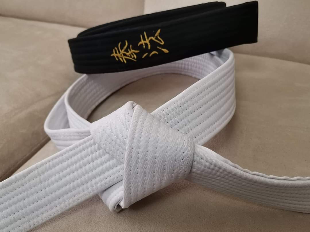 Preguntas y respuestas acerca de las artes marciales