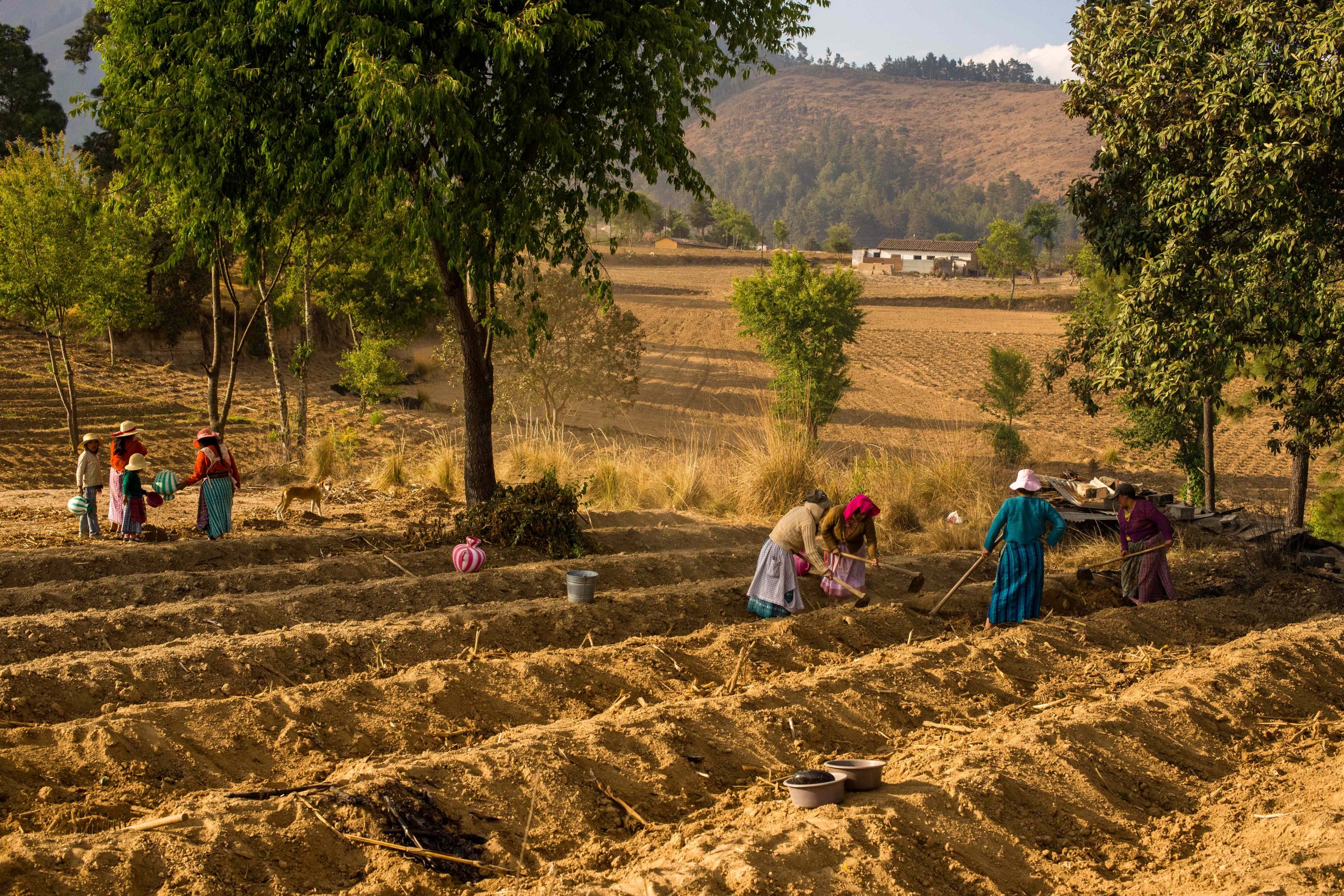 Clamor por el agua: ¿capitalismo o vida? (4)