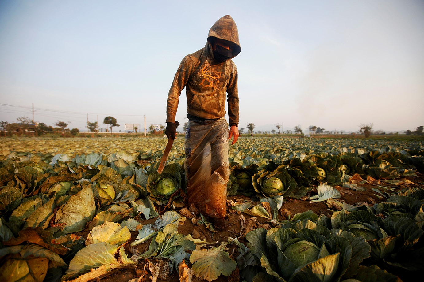 agricultura_01