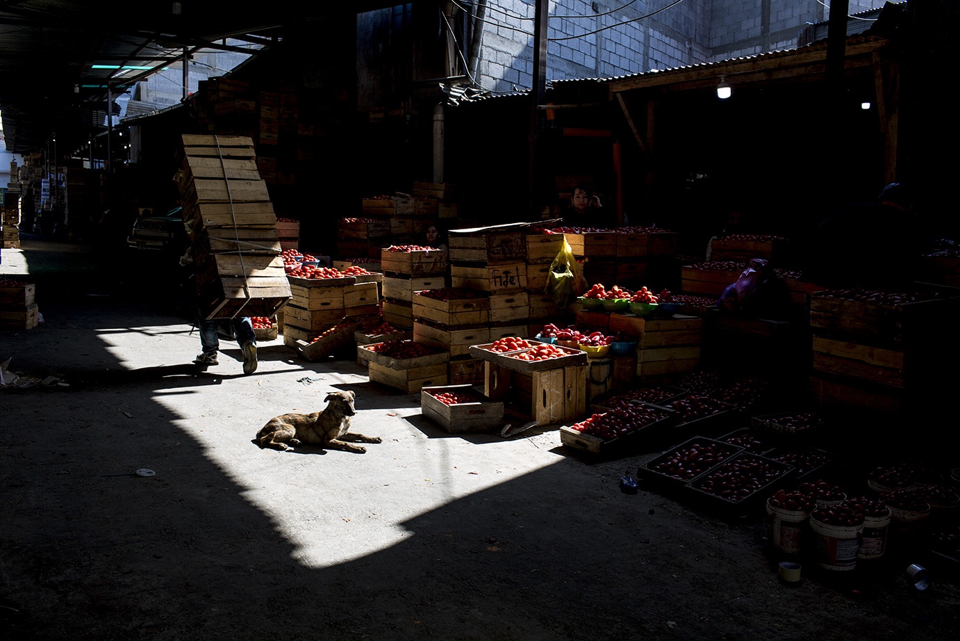 El Estado creador de mercados (La recuperación pasa por repensar lo fiscal)