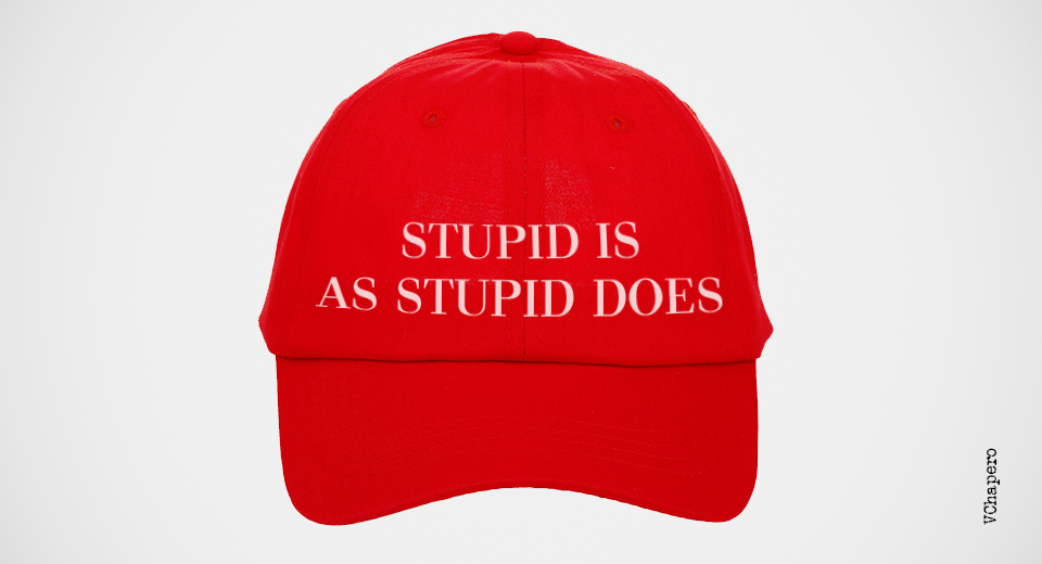 vinetapzp149asstupiddoes