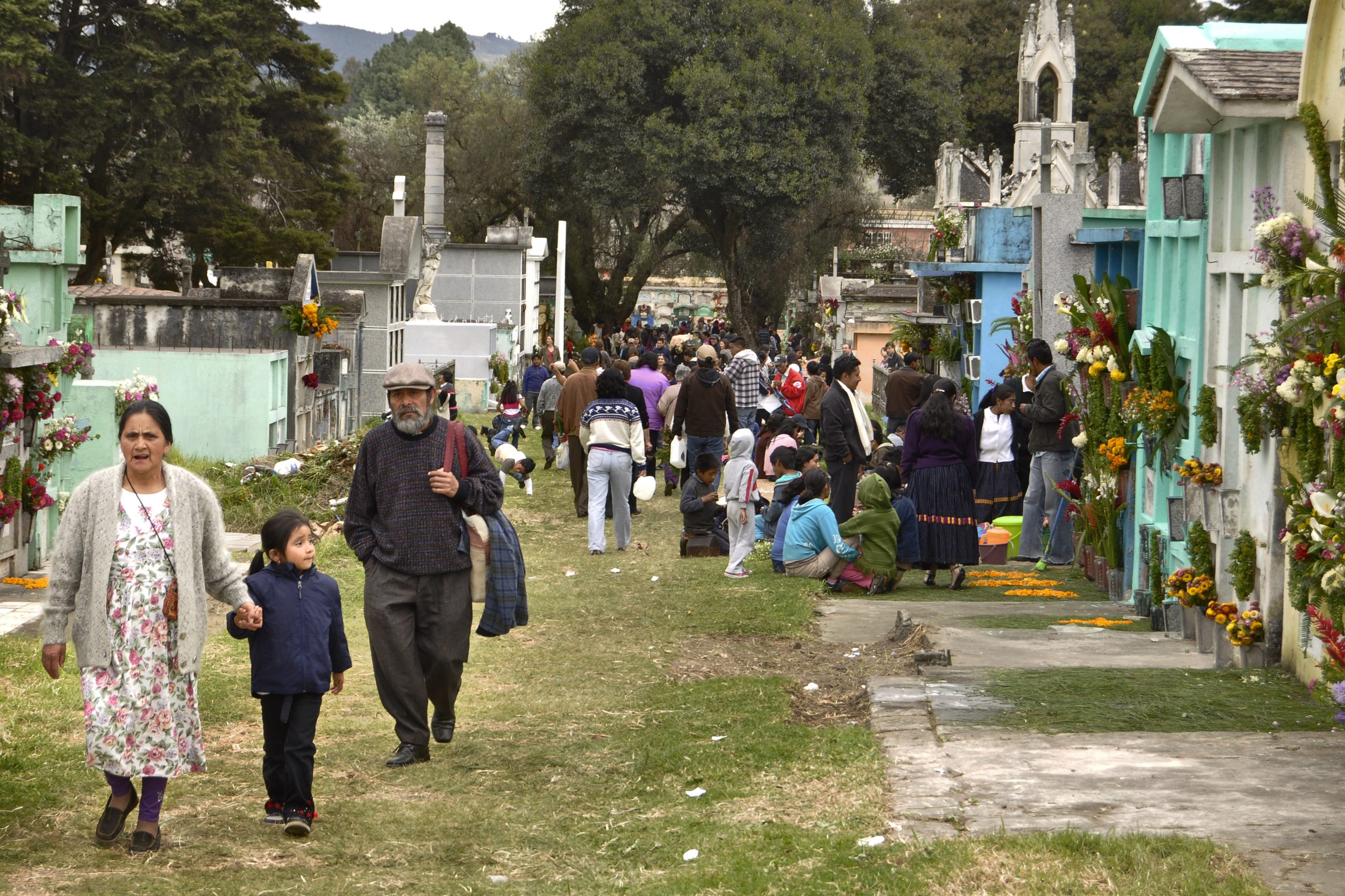 Flor de muerto, covid y el número 100