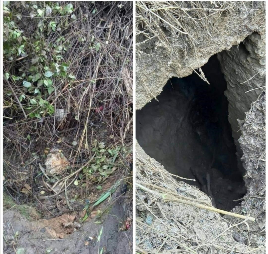 Alcaldes, acuérdense de los siguanes