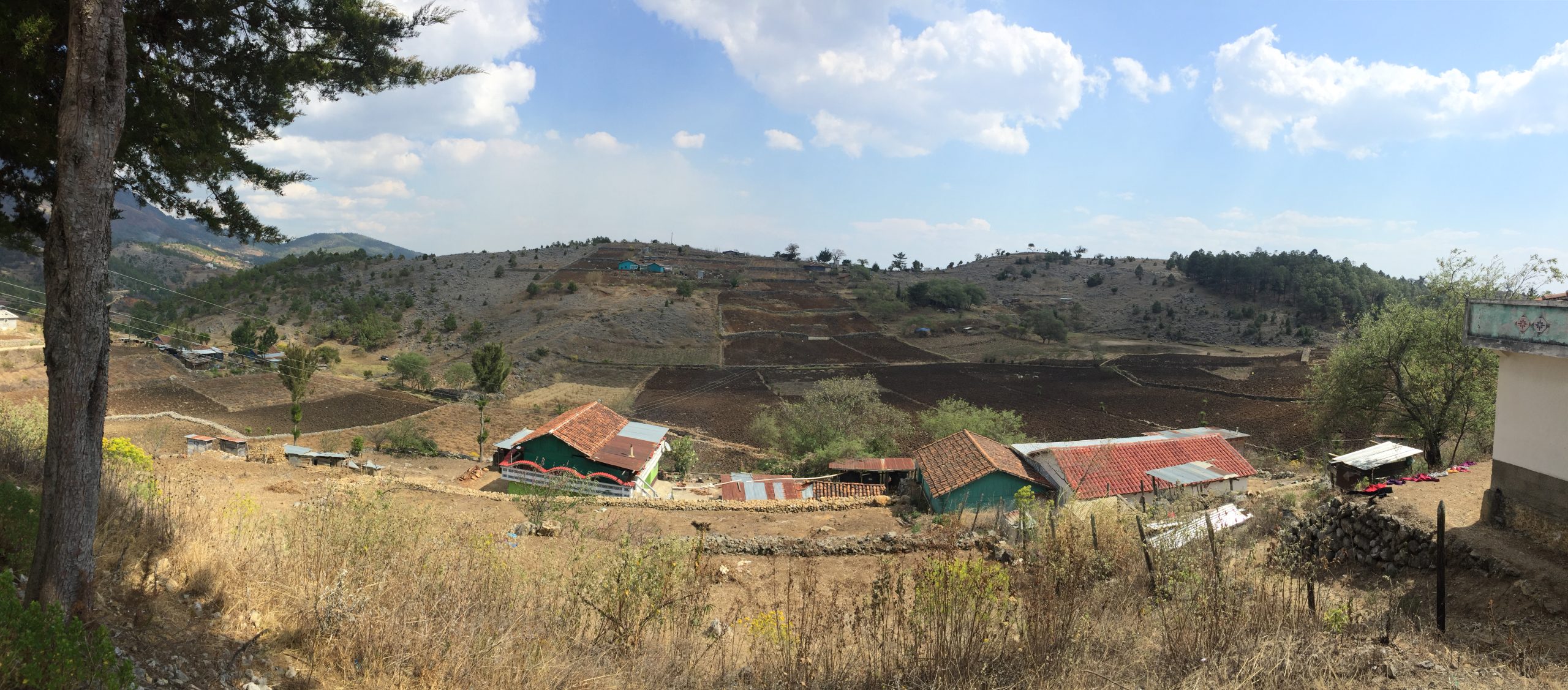 Naturaleza colonizada (4)