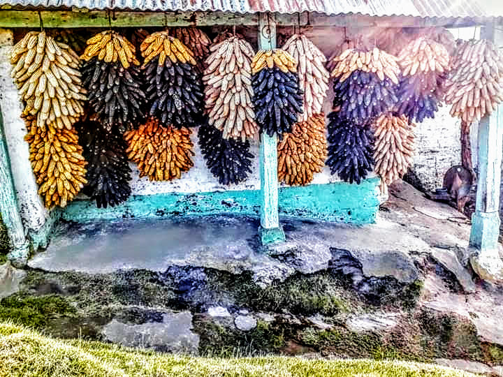 Colonizacion y hambre (1)