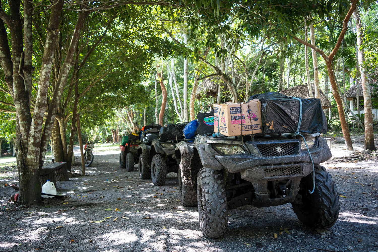 Patrullaje en la selva Maya: La lucha contra la tala ilegal en la frontera Guatemala-México